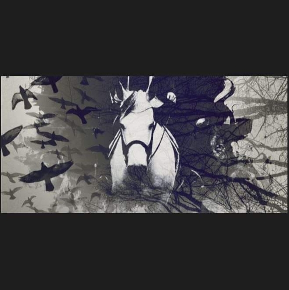 Meet your Posher, Lisa - Picture 1 of 1